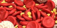 Что такое тромбоциты в крови?