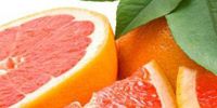 Полезные свойства грейпфрута для организма