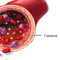 Что представляет собой глюкоза в крови человека