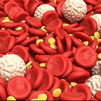 Что такое тромбоциты в крови человека