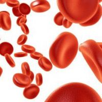 Норма гемоглобина в крови у детей