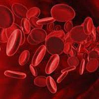 Нормальное количество лейкоцитов в крови у детей