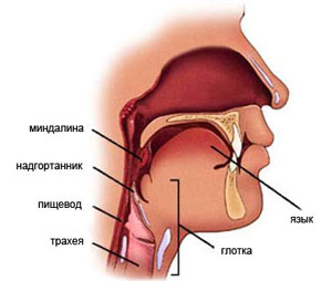 Как выглядит рак горла